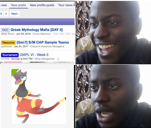 db4.jpg