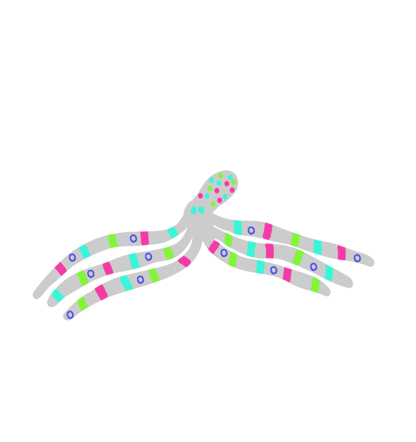 DD7F80F2-5BB1-4B41-B45A-A5588A8A0762.png