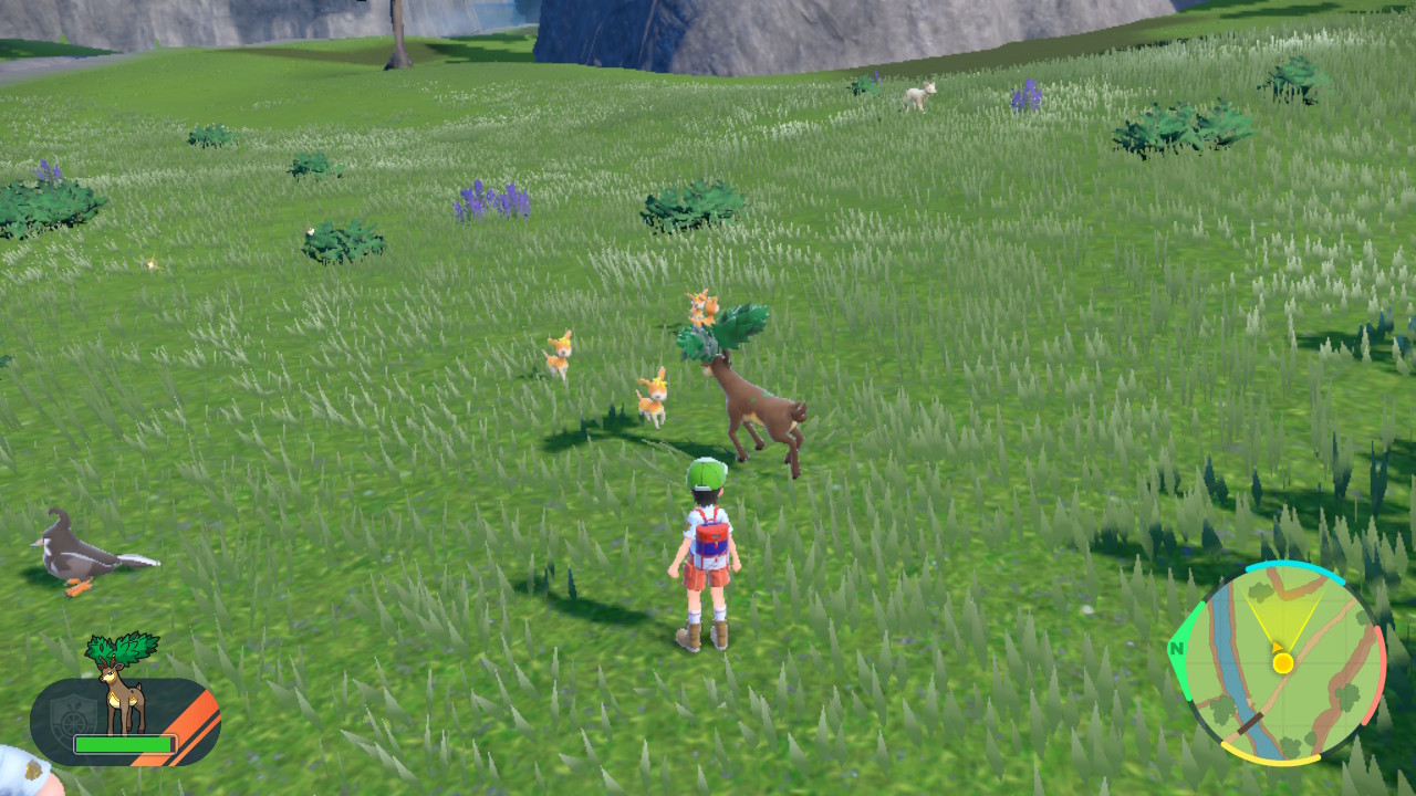 Deers Fight.jpg