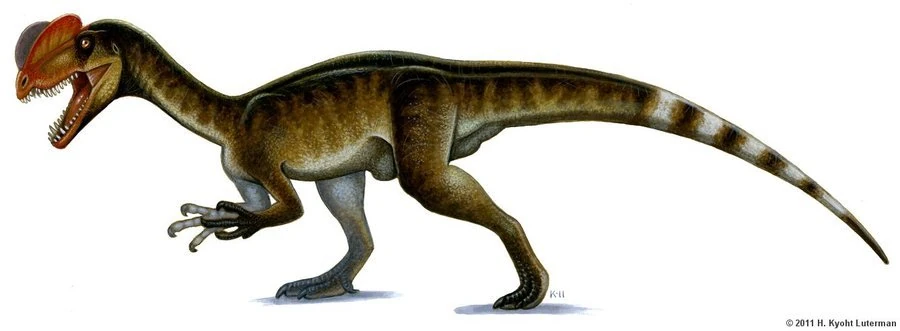 dilophosaurus.png