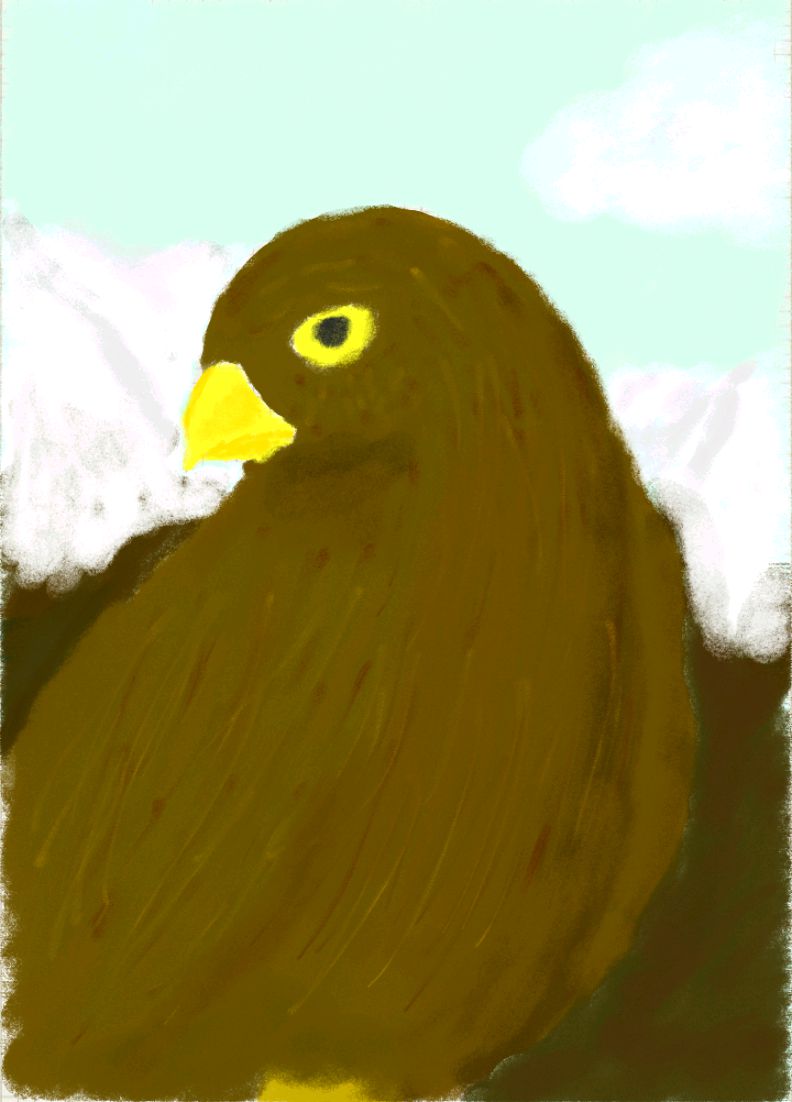 Disegno libero_20140820_190354_01.jpg