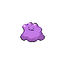 ditto (1).png