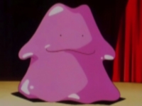 Ditto.jpg