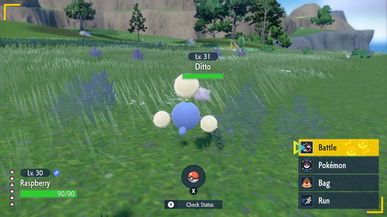 Ditto Surprise.jpg