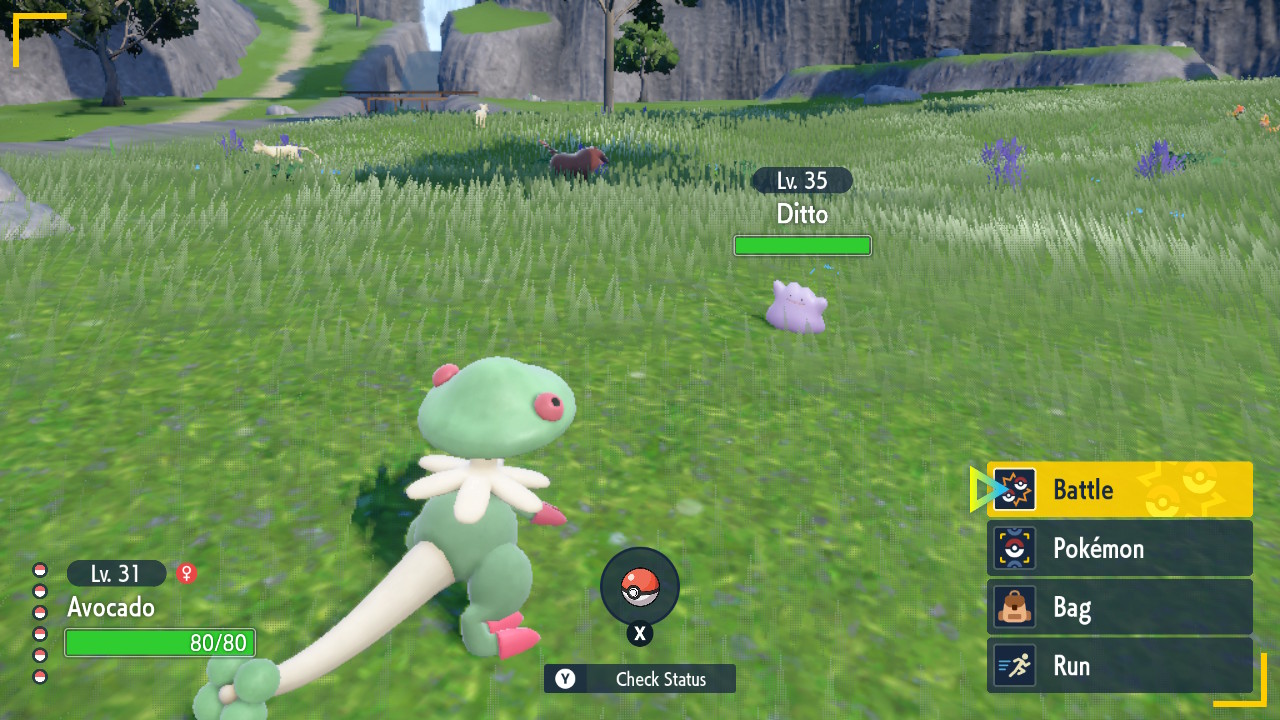 Ditto Surprise.jpg
