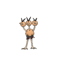 dodrio-3.gif