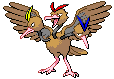 DODRIO_1.png