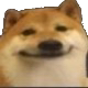 doge.png