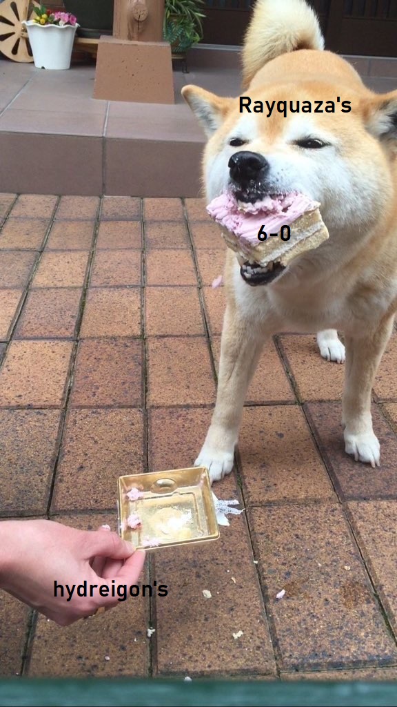doggo.jpg