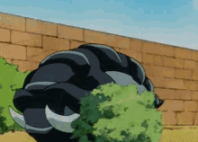 donphan-pokemon.gif