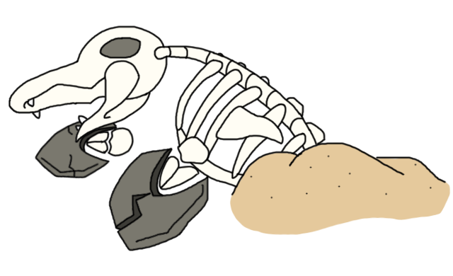 DorsoilSkeleton.png