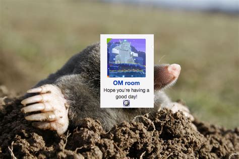 download (9).jpeg
