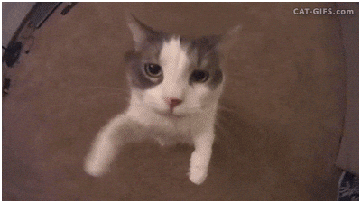 download.gif