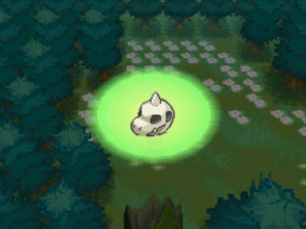 dragon skull.png