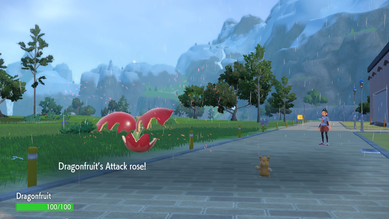 Dragondancefruit.jpg