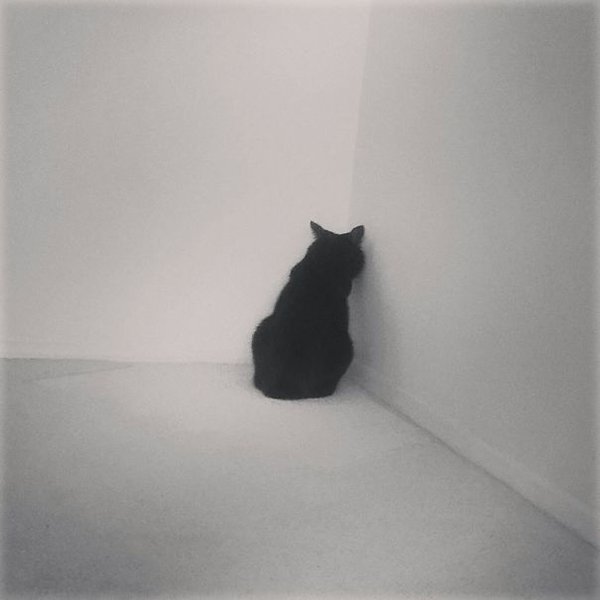 dramatic-cat-facing-corner.jpg