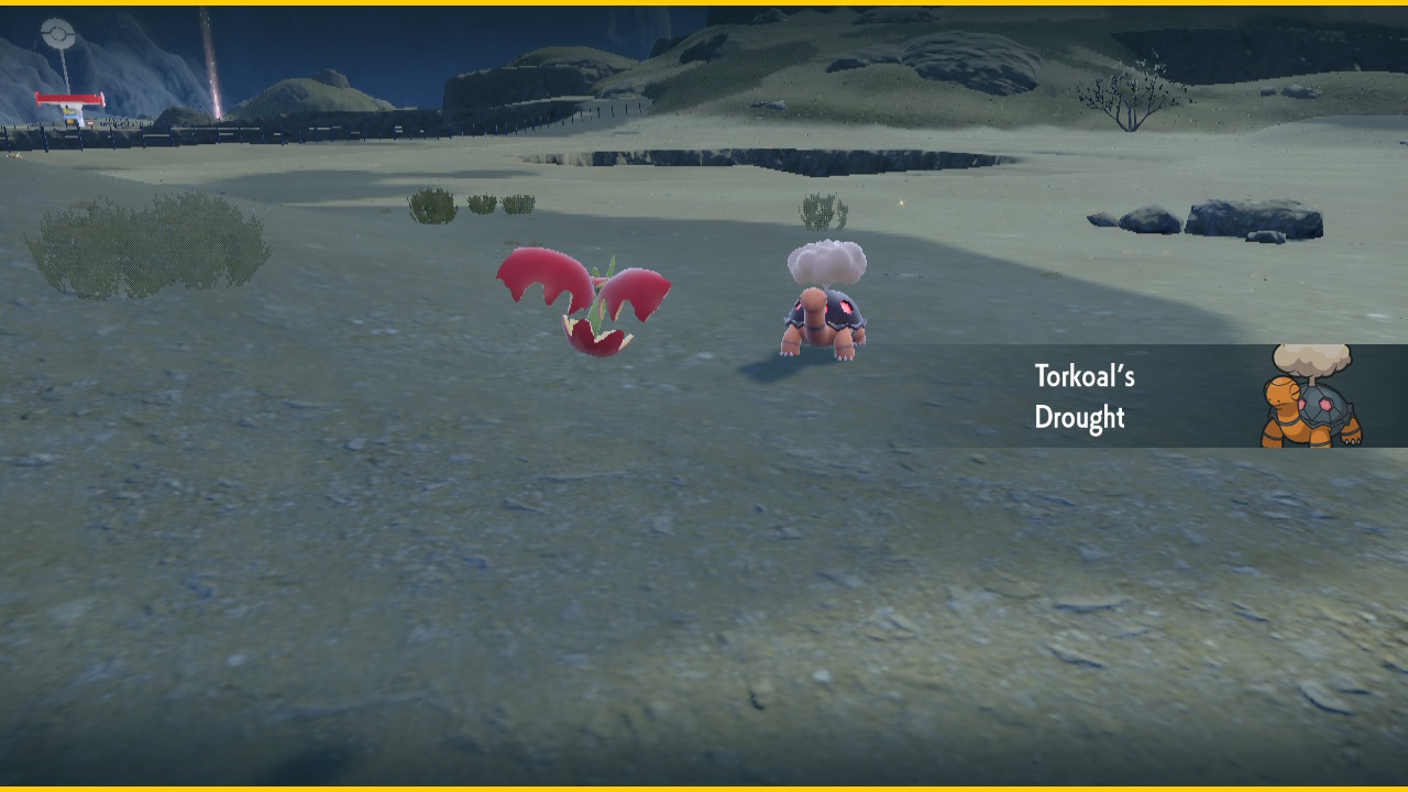 Drought Turtle.jpg