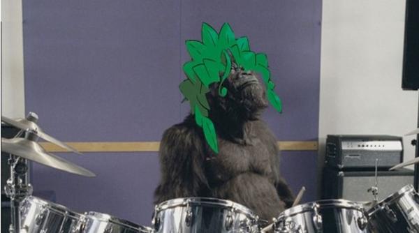 drum rilla.jpeg