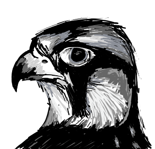ds2_Falcon_1399861636353.png