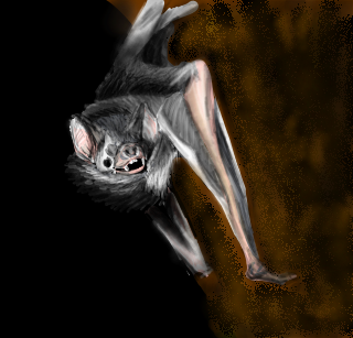 ds2_Free Draw_1396232841823.png