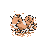 dugtrio.png