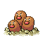 dugtrio.png