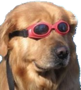 dundod.png