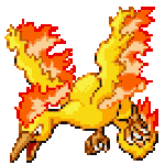 E_146_front.gif
