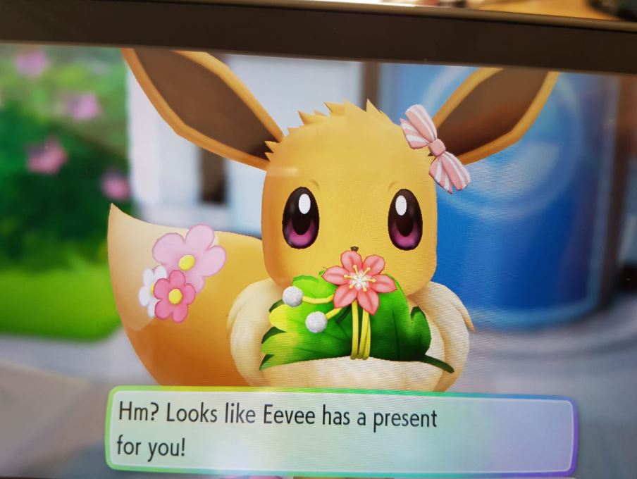 eevee gift.JPG