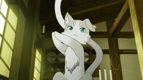 EFC1864E-90A8-4635-B945-7E1F9904ABE2.gif