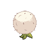 eldegossb.png