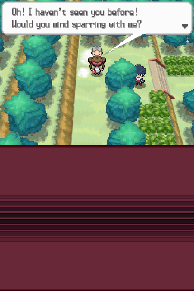 elusiveconquest50.png