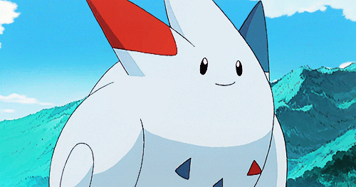 EveryDistantHydatidtapeworm-small.gif