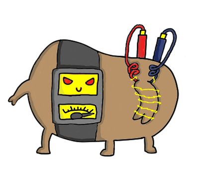 exportpotat.png