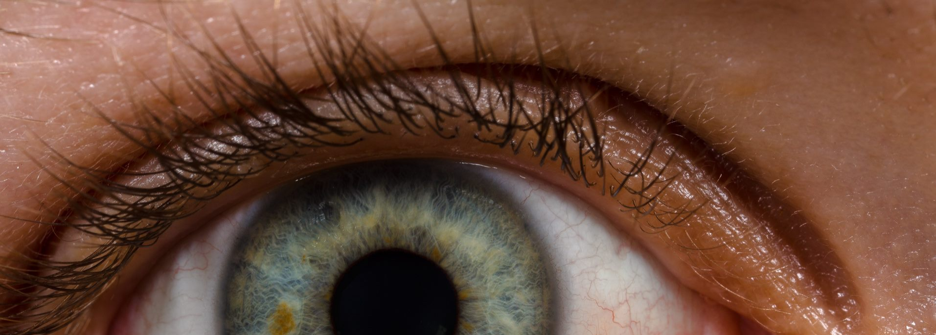 EyeStillHalf.png