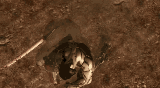 f1a (1) (1).gif