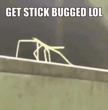 F2292FE5-FFB7-486F-9586-689717EF0C55.gif