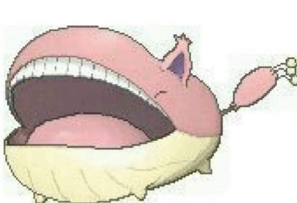 fat cat.jpg