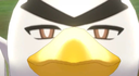 fetchd.png