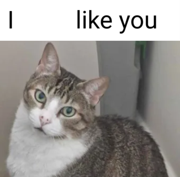fifi.png