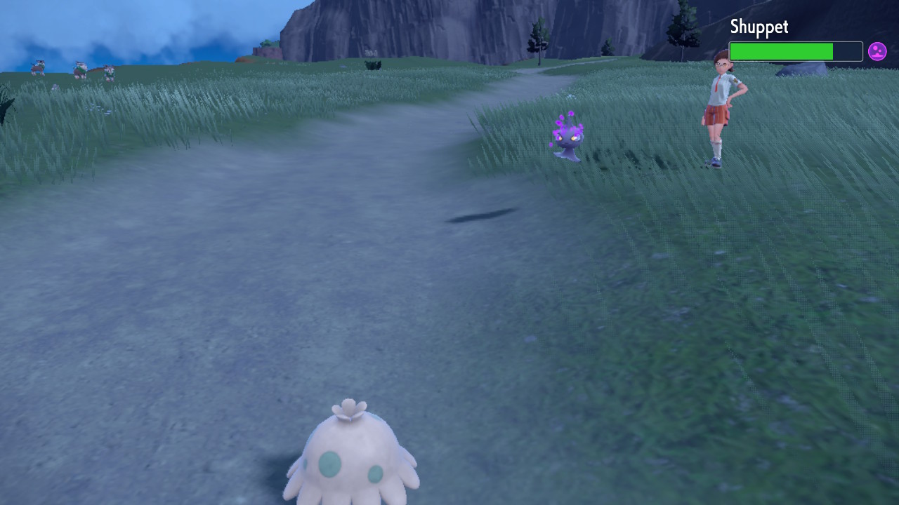 Fighting Shuppet.jpg