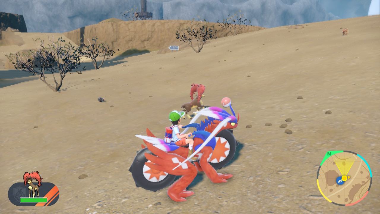 Fighting Voltorb.jpg