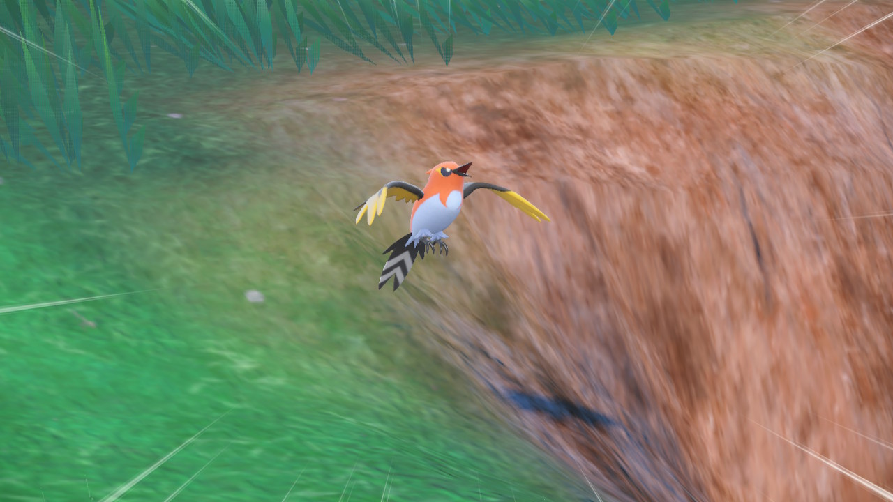 Fire Bird.jpg