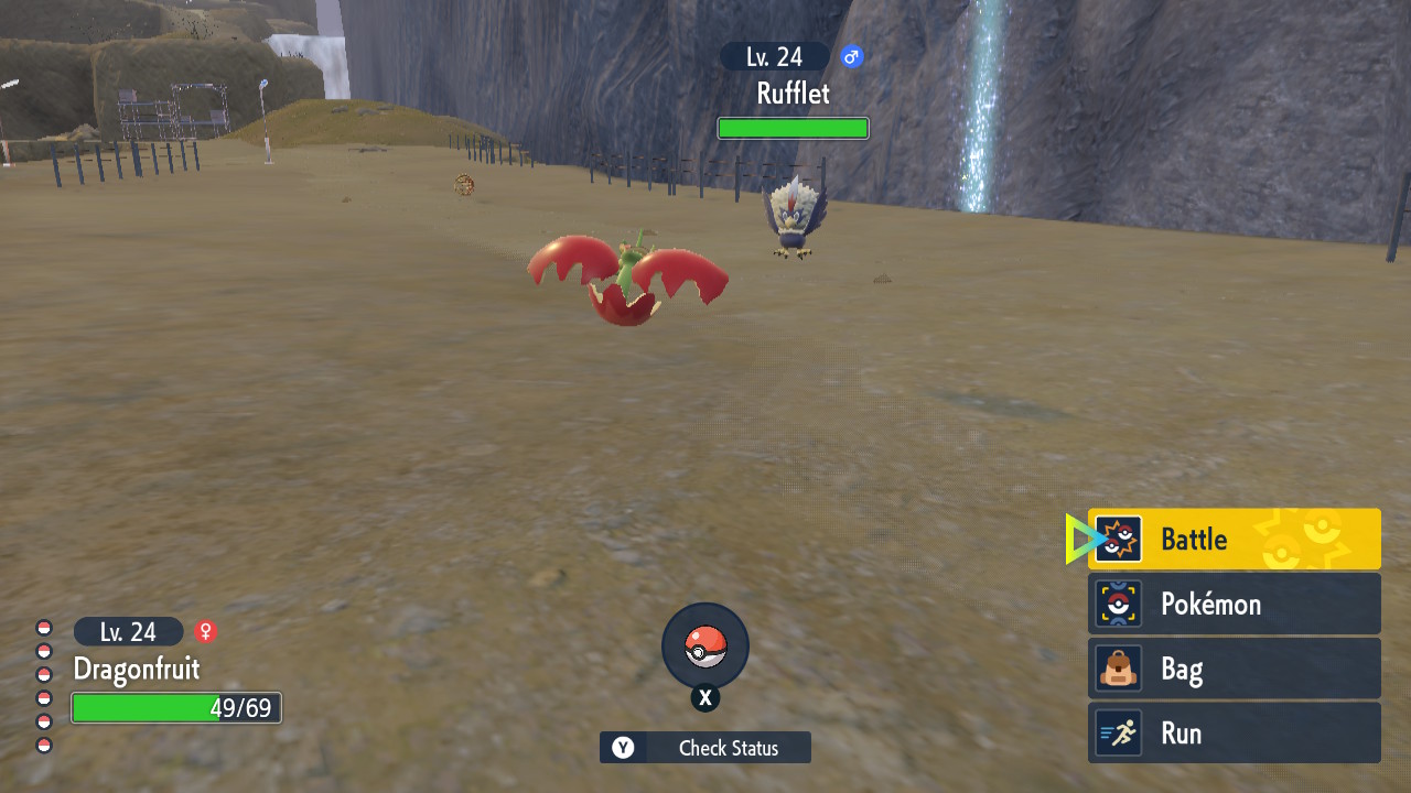 Flapping Fight.jpg