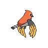 fletchinder back.png