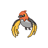 [PokeCommunity.com] Sky High: Flying-Type Fan Club