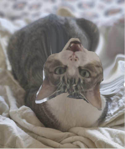 flippedfifi.png