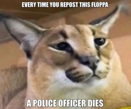 floppa.png