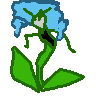 florges-blue.png