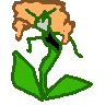 florges-orange.png